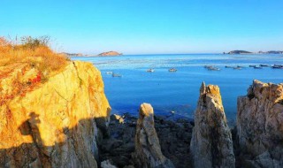 神龙岛在哪 神龙岛岛主