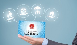 怎么查询自己的社保号（怎么查询自己的社保号码）