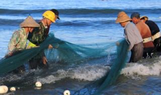 青海湖里有魚嗎（青海湖里有魚嗎現(xiàn)在）