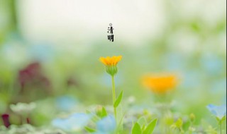 清明节的由来简写（清明节的由来简写20字）