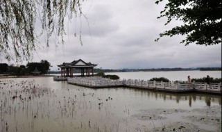 东莞松湖烟雨简介 东莞松湖烟雨开放时间