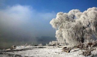 關(guān)于雪的詩(shī)歌 關(guān)于雪的詩(shī)歌簡(jiǎn)短