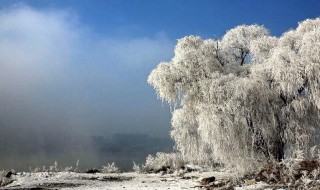 描写雪的诗有哪些（描写雪的诗有哪些诗句）