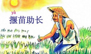 揠苗助長(zhǎng)教學(xué)設(shè)計(jì) 揠苗助長(zhǎng)教學(xué)設(shè)計(jì)一等獎(jiǎng)部編12課