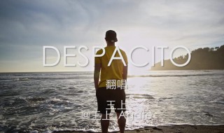 despacito歌詞翻譯中文（《despacito》的歌詞）