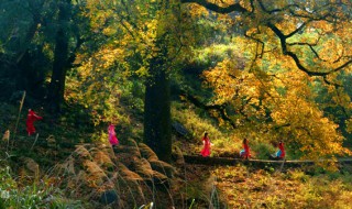 茅镬村怎么读 茅镬新村