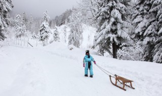 小雪代表什么寓意 小雪代表什么寓意吃点什么好小雪以后可以种青菜吗?