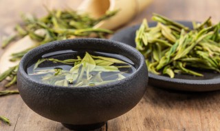 福鼎白茶属于什么茶类（福鼎白茶属于什么茶）