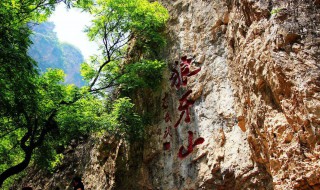 狼牙上五壮士好词好句（狼牙山五壮士好词好句好段摘抄）