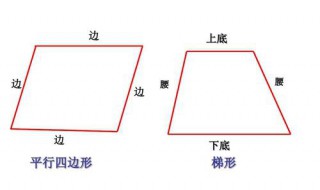 梯形的上底和下底怎样区分 梯形的上底和下底怎样区分图片