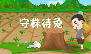 說明道理的成語（說明道理的成語有哪些）