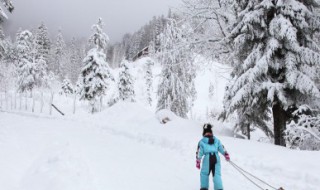 祁连五月满雪花什么意思