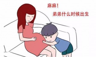 生育率低会导致什么后果 年轻人不愿生育的原因