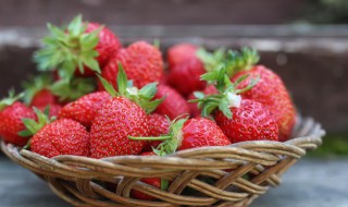 种草莓的过程方法 种草莓的过程方法怎么写