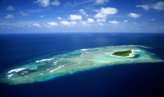 美麗的西沙群島原文（美麗的西沙群島原文讀后感）