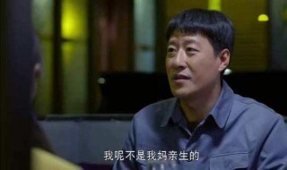 我的二哥二嫂剧情介绍 我的二哥二嫂剧情介绍大结局