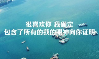 我真的好喜歡你歌詞 我真的好喜歡你 歌曲