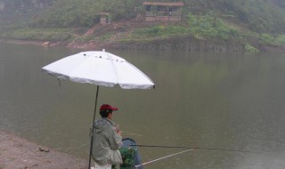 立夏雨天怎么钓鱼 夏天下雨野钓怎么钓