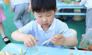 立夏小孩穿什么 小孩夏天適合穿什么鞋