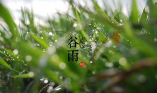 谷雨在什么季節(jié) 谷雨在什么季節(jié)里