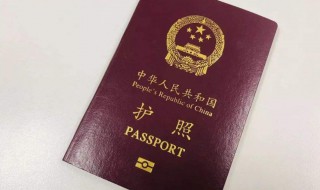 中国公民去新加坡需要什么条件（中国人去新加坡需要什么证件）