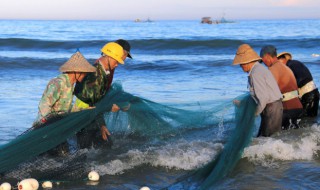 鯽魚怎么儲(chǔ)存保鮮 鯽魚怎么儲(chǔ)存保鮮最好