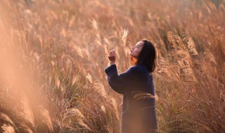 形容蘆葦?shù)膬?yōu)美句子 形容蘆葦?shù)膬?yōu)美句子簡短