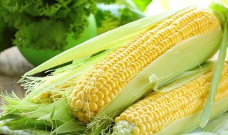 煮玉米放鹽起什么作用 煮玉米放鹽起什么作用,玉米為什么變黃色了