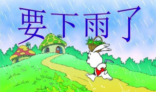 下雨前动物的表现（下雨前动物的表现有哪些一年级）