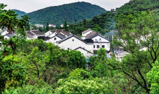 树山在苏州的哪里（苏州树山在什么区）