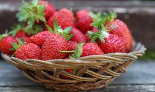 草莓苗怎么在家里种（如何在家种植草莓苗苗育苗）