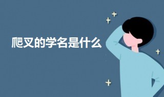 爬叉的学名是什么（爬叉是哪里的叫法）