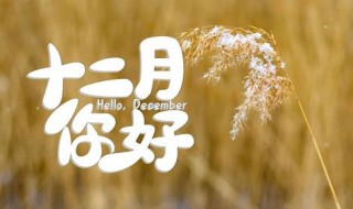 12月朋友圈心灵鸡汤说说（12月朋友圈心灵鸡汤说说文案）