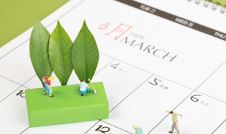 3月12日是什么节日（3月12日是什么节日纪念谁）