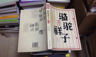 駱駝祥子故事情節(jié)簡介 駱駝祥子故事情節(jié)簡介100字