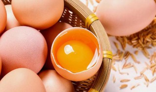 土鸡蛋和普通鸡蛋的区别（农家土鸡蛋和普通鸡蛋的区别）