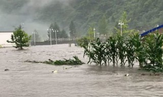 暴雨引发的灾害是 暴雨引发的灾害是什么