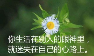 人生哲理的句子經(jīng)典 人生哲理的句子經(jīng)典圖片