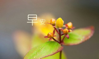 早安怎么幽默回復(fù) 女生說早安怎么幽默回復(fù)