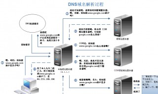 dns是什么（dns是什么意思 体育）