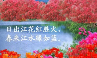 日出江花红胜火的下一句诗是什么（日出江花红胜火求下联）