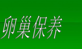 卵巢保養(yǎng)方法（卵巢的保養(yǎng)方法要吃什么）