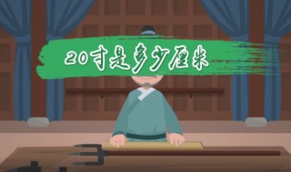 20寸是多少厘米 20寸是多少厘米长宽高