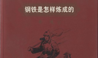 钢铁是怎么炼成的简介 钢铁是怎么炼成的简介50