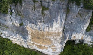 金佛山海拔多少米（重慶金佛山海拔多少米）