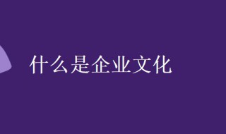 什么是企业文化（什么是企业文化简答）