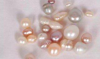 珍珠是怎么形成的 珍珠是怎么形成的秒懂百科