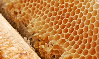 蜂王浆是怎么形成的 蜂王浆是怎么形成的视频