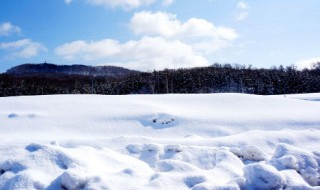 雪怎么形成的 粉色的雪怎么形成的