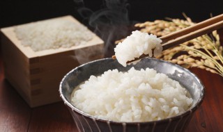 吃馒头和米饭哪个更容易胖 吃馒头和米饭哪个更容易胖些